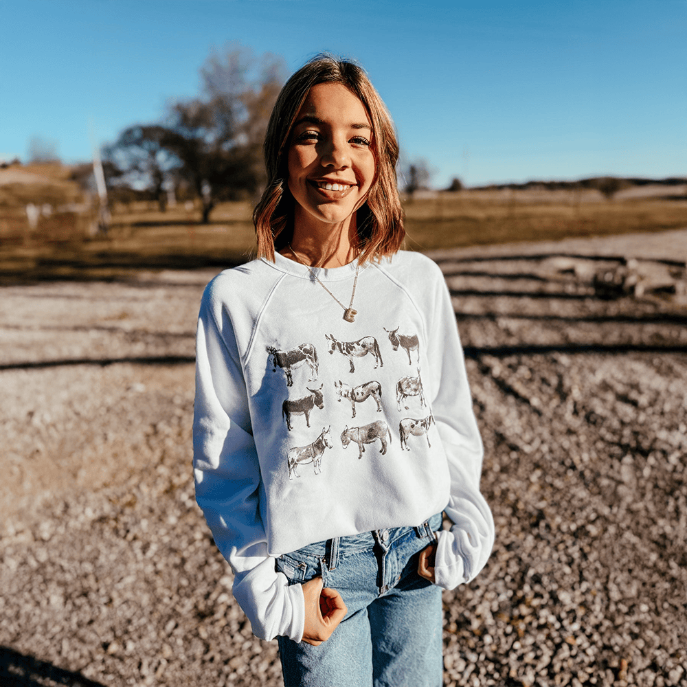 Arms Family Homestead Merch Donkey Arms Family Homestead Sweatshirt Gifts For Fans