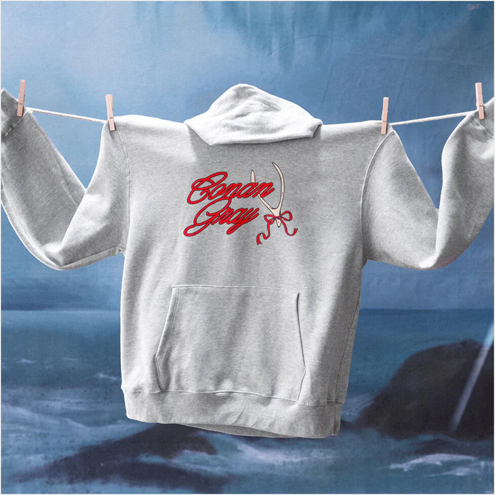 Conan Gray Ribbon Wishbone Hoodie Conan Gray Merch Birthday Gift Ideas Christmas Presents