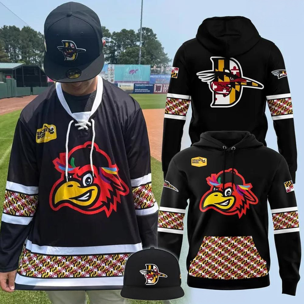 Delmarva Shorebirds Maryland Pride 2025 Special Hoodie Delmarva Shorebirds Merch For Fans