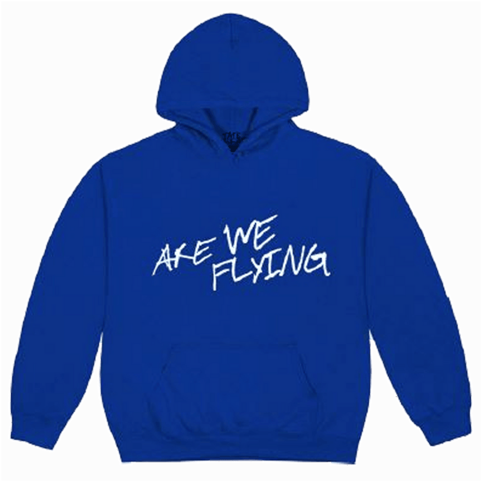 Tate McRae Merch Hoodie Tate McRae Are We Flying Hoodie Canadian Music Fan Gifts Gifts For Fans
