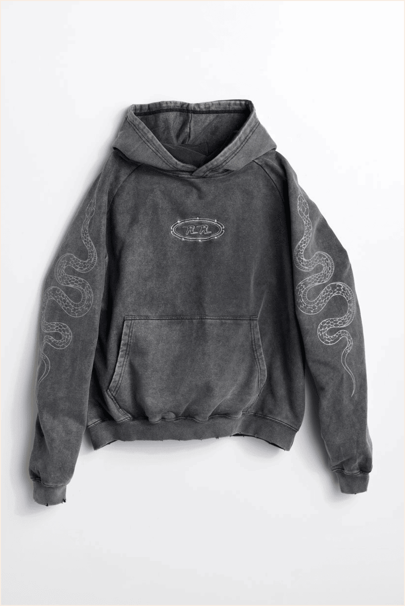 Vintage Faded Snake Hoodie Rob Rausch Merch Birthday Gifts For Best Friend Christmas Presents