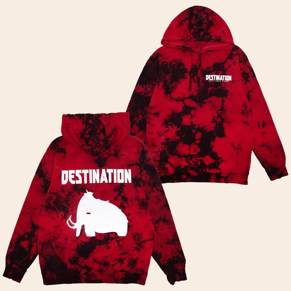 Wooli Destination Tour Hoodie Wooli Merch Stepdad Birthday Gifts For Father's Day BFF Gifts