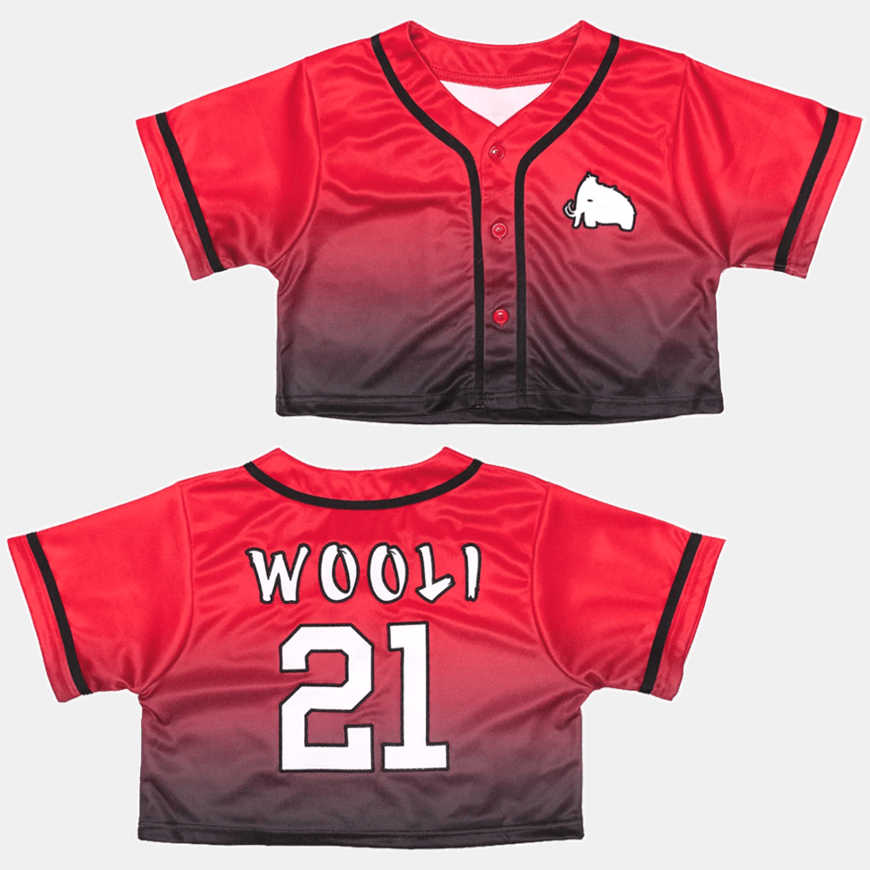 Wooli Merch Wooli Destination Tour Crop Jersey Gifts For Wife Birthday Gifts For Fans