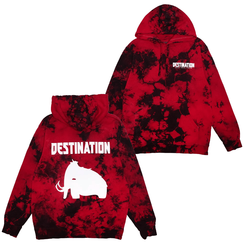 Wooli Merch Wooli Destination Tour Hoodie Stepdad Gifts For Father's Day