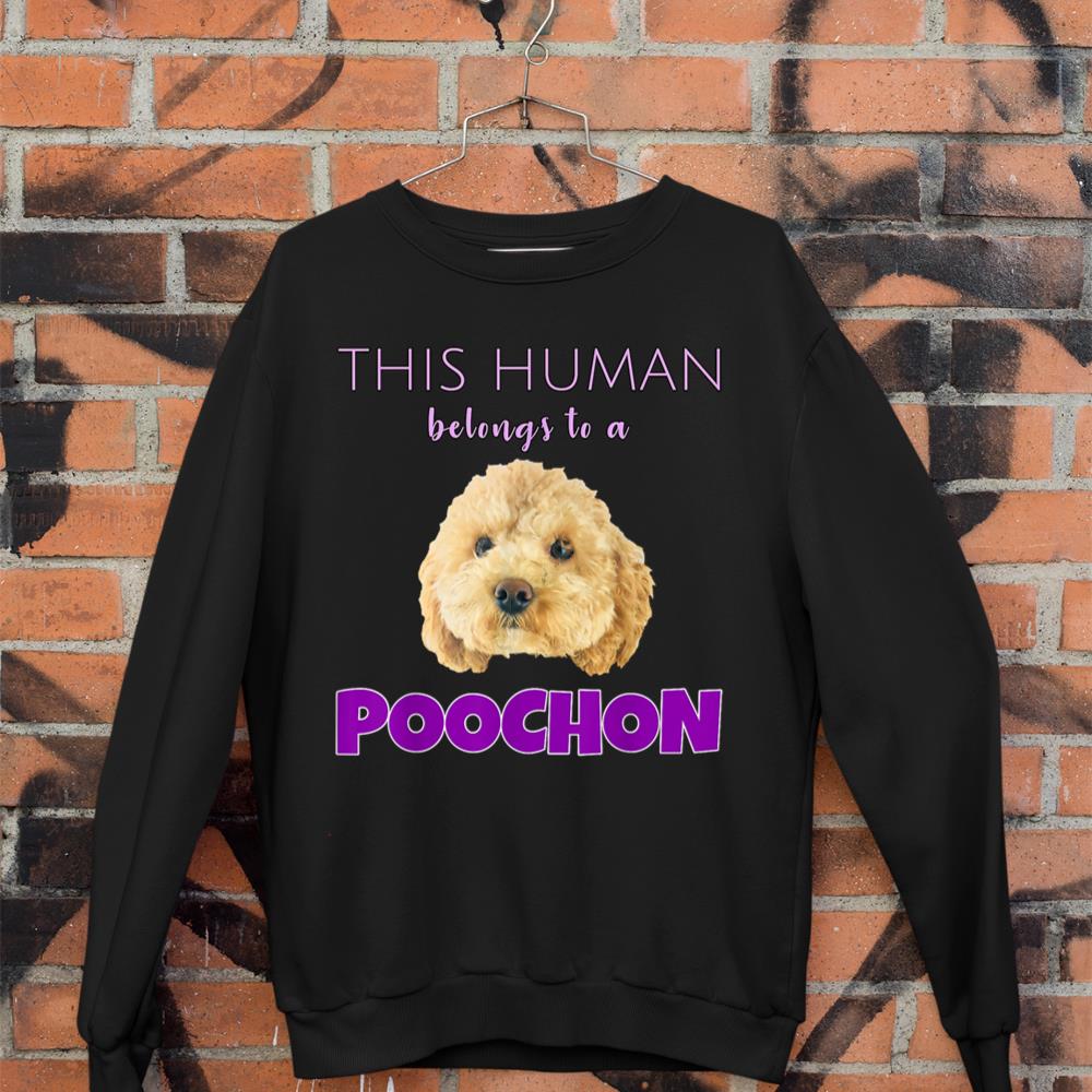 This Human belongs to a Poochon puppy dog owner gift Sweatshirt