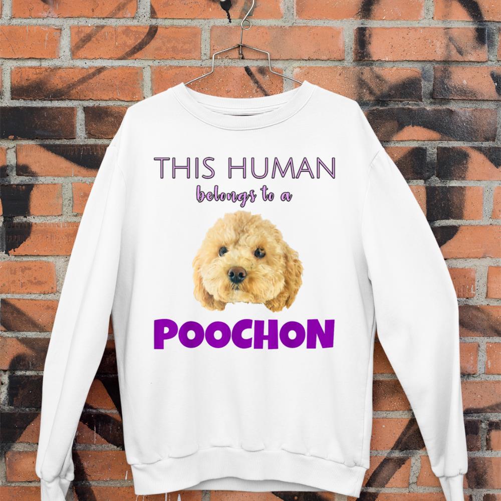 This Human belongs to a Poochon puppy dog owner gift Sweatshirt - Image 3