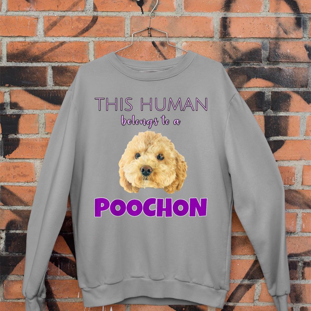 This Human belongs to a Poochon puppy dog owner gift Sweatshirt - Image 5