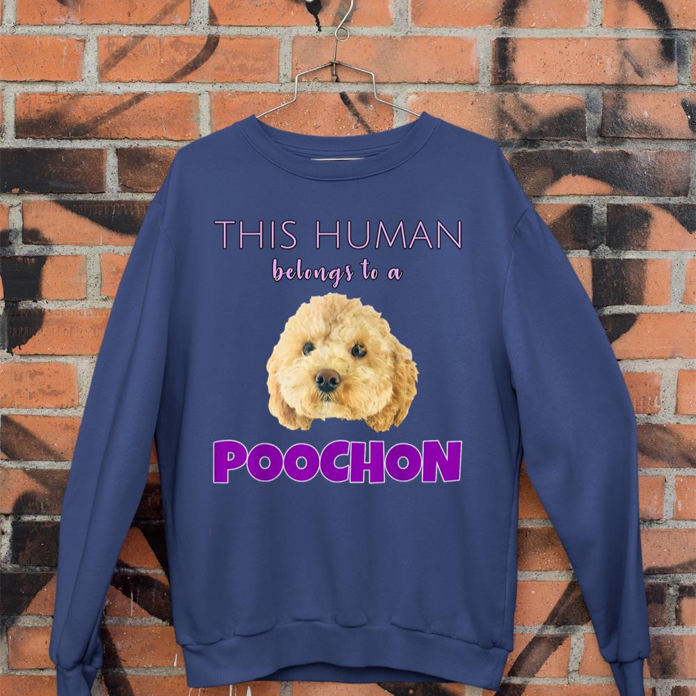 This Human belongs to a Poochon puppy dog owner gift Sweatshirt - Image 7