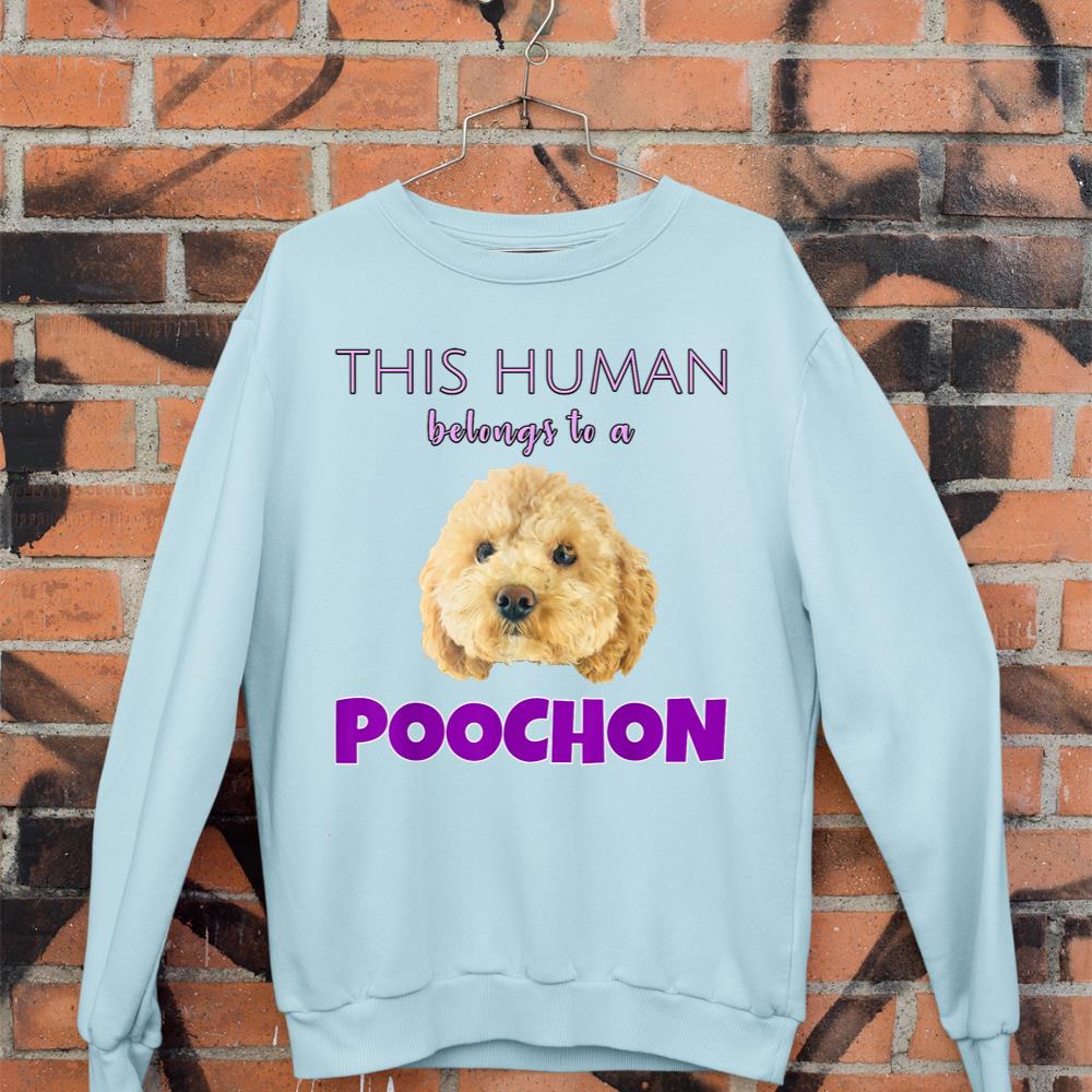 This Human belongs to a Poochon puppy dog owner gift Sweatshirt - Image 9