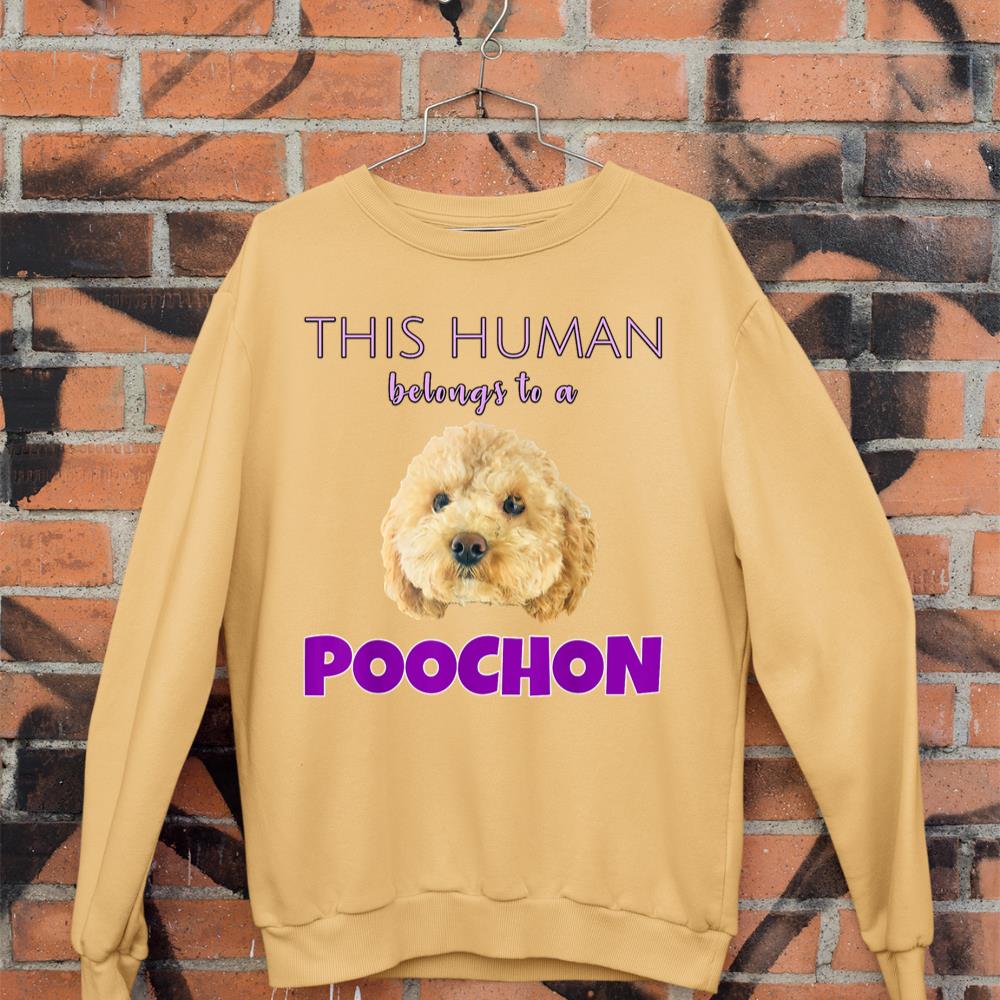 This Human belongs to a Poochon puppy dog owner gift Sweatshirt - Image 11